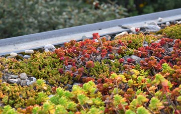 the cost of Plumstead Common green roof installation