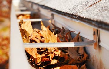 Plumstead Common gutter cleaning companies