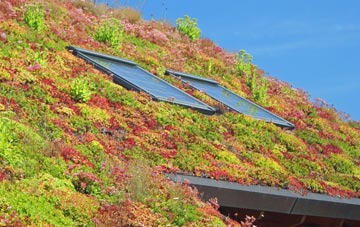 Plumstead Common living roof systems