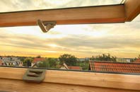 rated Plumstead Common roof window companies